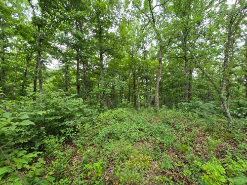 Tbd County Road 481e, Cross Timbers, MO, 65634 | Card Image