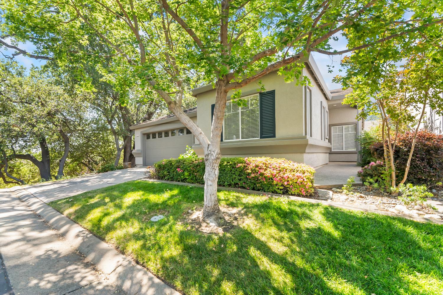 Residential in Folsom 4