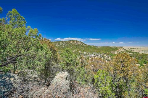 TBD Rikki Rowdy Place, Aguilar, CO, 81020 | Card Image