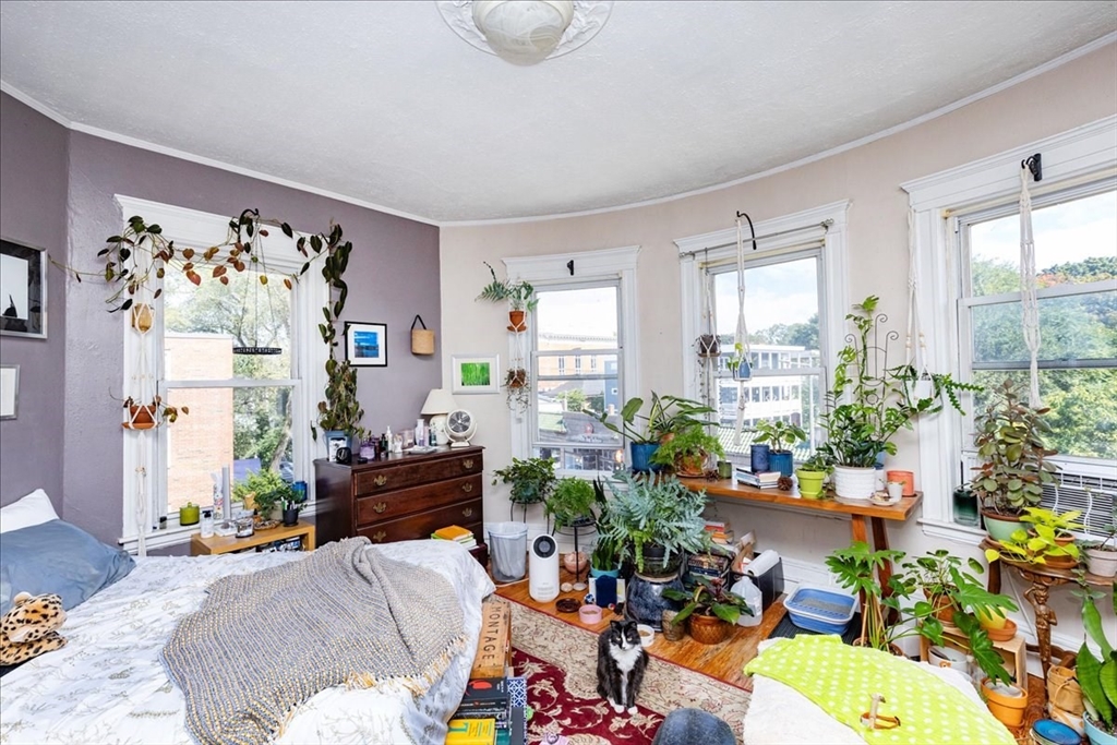 Residential in Boston 4