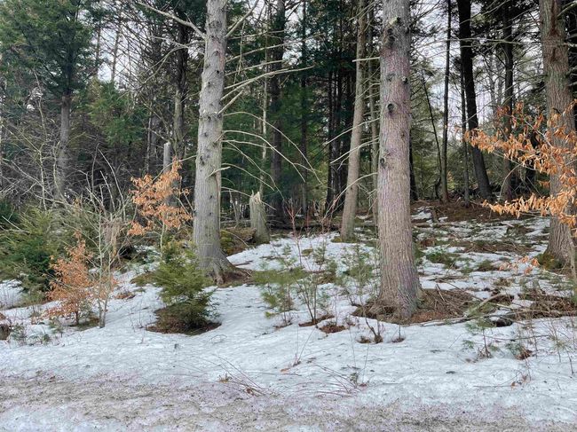 Lot 53 Apple Hill Rd, Home with 0 bedrooms, 0 bathrooms and null parking in Sullivan NH | Image 7