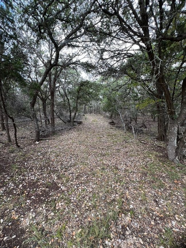 396 High Forest Dr, Home with 0 bedrooms, 0 bathrooms and null parking in Blanco TX | Image 5