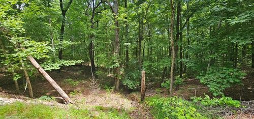 555 Oak Leaf Lane, Dunlap, TN, 37327 | Card Image
