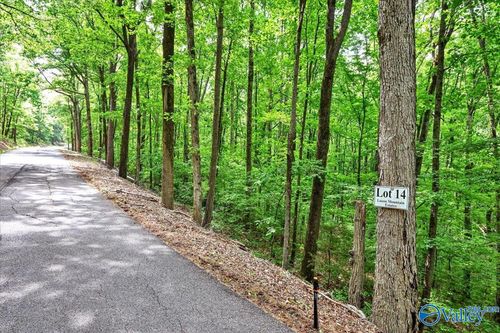 Lot 14 Mill Creek Road, Falkville, AL, 35622 | Card Image