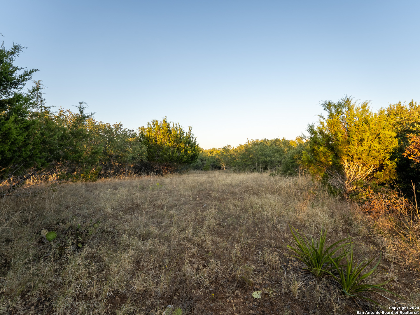Land in Blanco 2