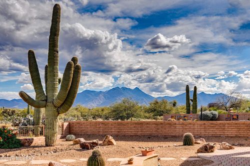 600 N Alexis Loop, Green Valley, AZ, 85614 | Card Image