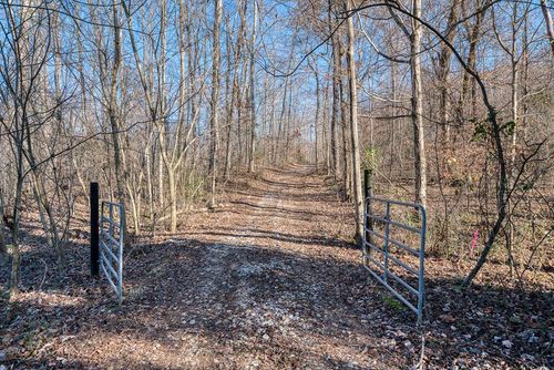 54.88 AC Nelson Lane, Rickman, TN, 38580 | Card Image