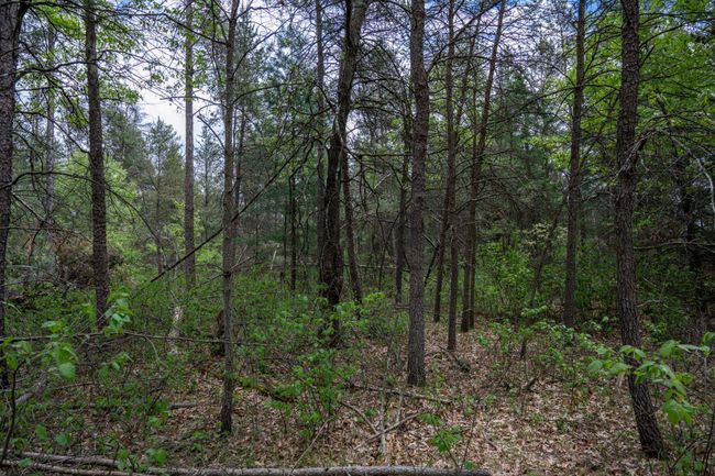 N8378 Timber Trl, House other with 2 bedrooms, 1 bathrooms and null parking in New Lisbon WI | Image 40