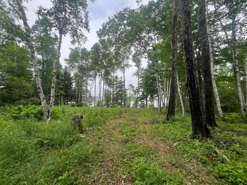 Lot 1 Puffins Lane, Machiasport, ME, 04655 | Card Image