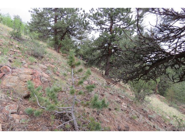 0 Come And See Mine, Home with 0 bedrooms, 0 bathrooms and null parking in Central City CO | Image 29