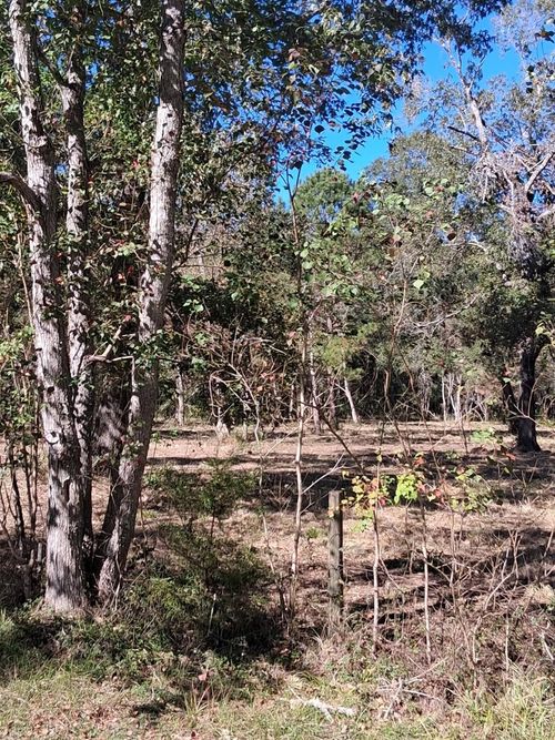 278 County Road 6502 W, Dayton, TX, 77535-7674 | Card Image