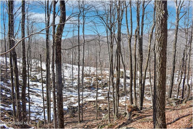 48 Durkin Rd, Home with 0 bedrooms, 0 bathrooms and null parking in North Creek NY | Image 61