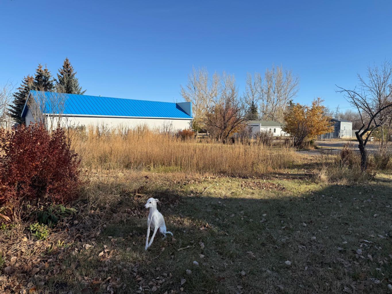 Land in Carmangay 3