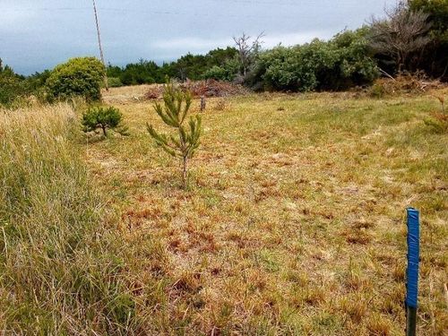 235 Nemeth, Crescent City, CA, 95531 | Card Image