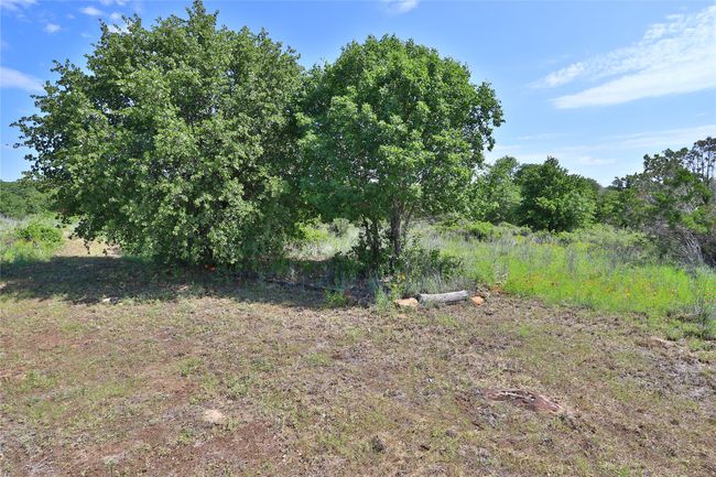 View of yard | Image 5