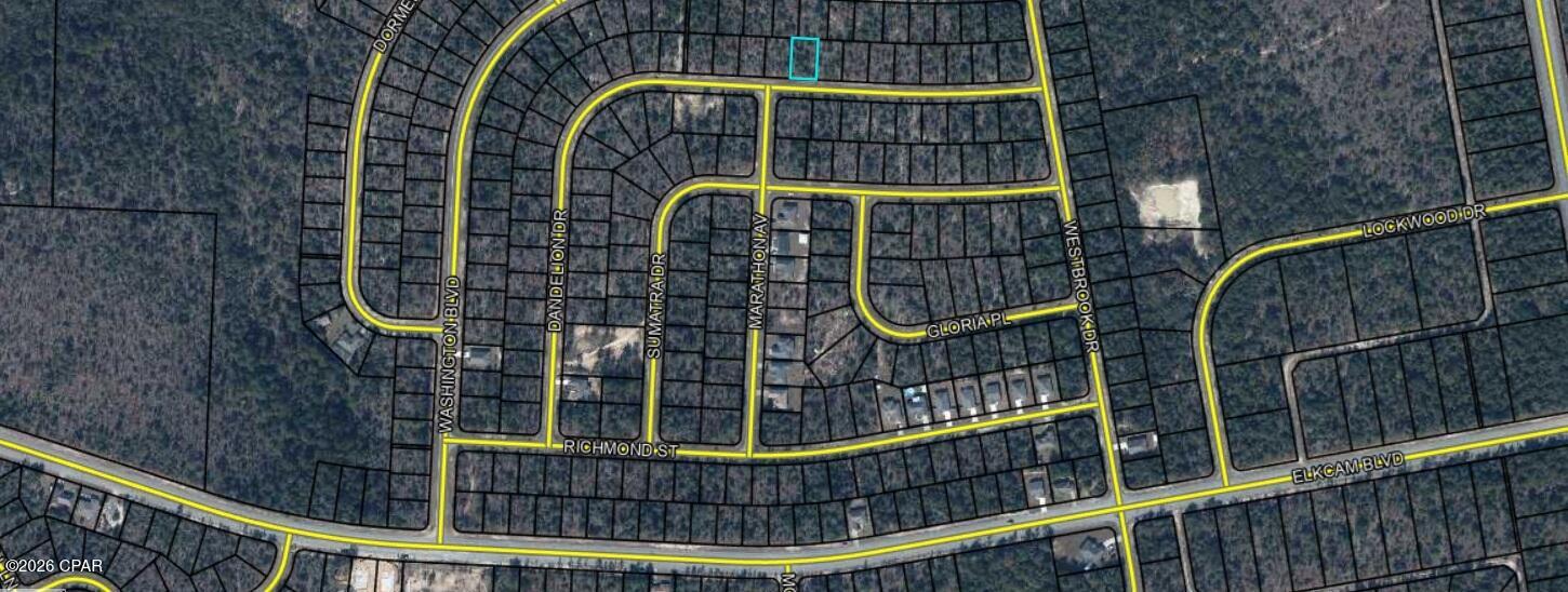 Land in Chipley 5