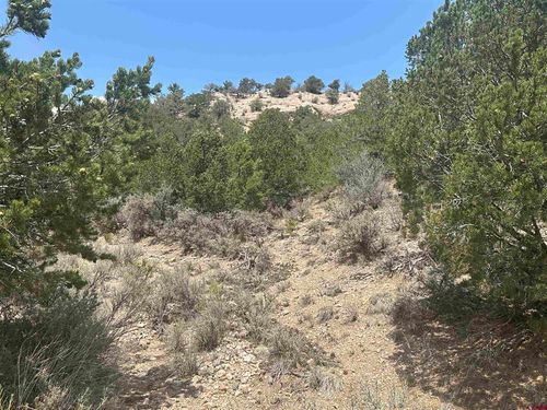 Lot 2653 Sledger Rd, Fort Garland, CO, 81133 | Card Image