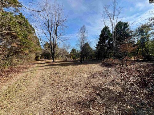 241 Megill Drive, Pelion, SC, 29123 | Card Image