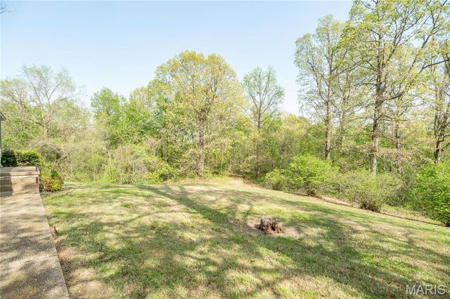 16747 Chalk Bluff Trl, House other with 4 bedrooms, 4 bathrooms and 2 parking in Dexter MO | Image 28