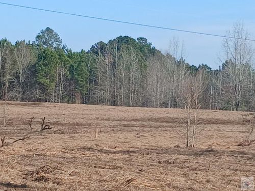 325 Miller County 353, Texarkana, AR, 71854-0325 | Card Image