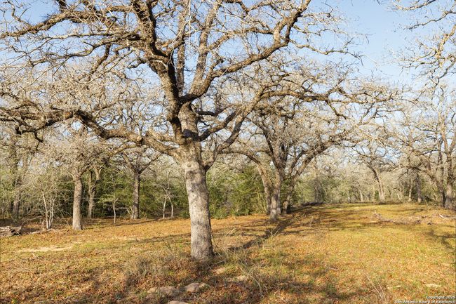 343 Batey Rd, Home with 3 bedrooms, 2 bathrooms and null parking in Nixon TX | Image 36