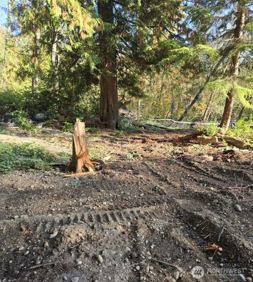 18820 220th Ave Se, Maple Valley, WA, 98038-6305 | Card Image