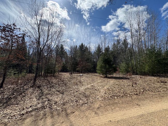 4233 Hardacre Trl, Home with 0 bedrooms, 0 bathrooms and null parking in Houghton Lake MI | Image 37