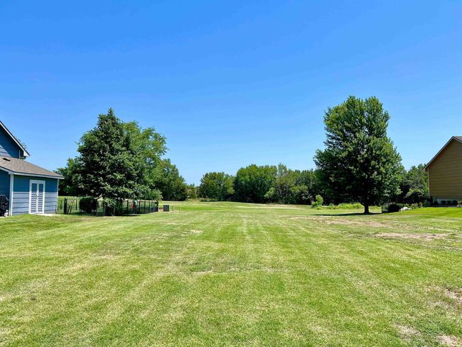 View of yard | Image 4
