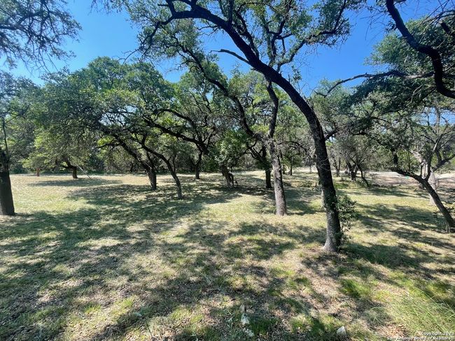 792 Alamo Beach Rd, House other with 6 bedrooms, 5 bathrooms and null parking in Pipe Creek TX | Image 9
