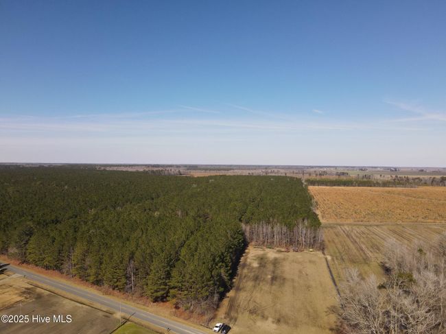 0 Free Union Church Rd, Home with 0 bedrooms, 0 bathrooms and null parking in Pinetown NC | Image 6