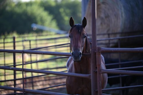 000 S Nn Hwy, Milo, MO, 64767 | Card Image