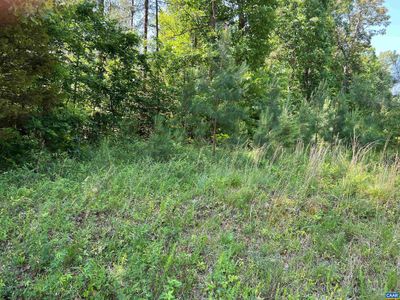 91-A6 - Lot A 6 Tye River Rd, Home with 0 bedrooms, 0 bathrooms and null parking in TYE RIVER VA | Image 1