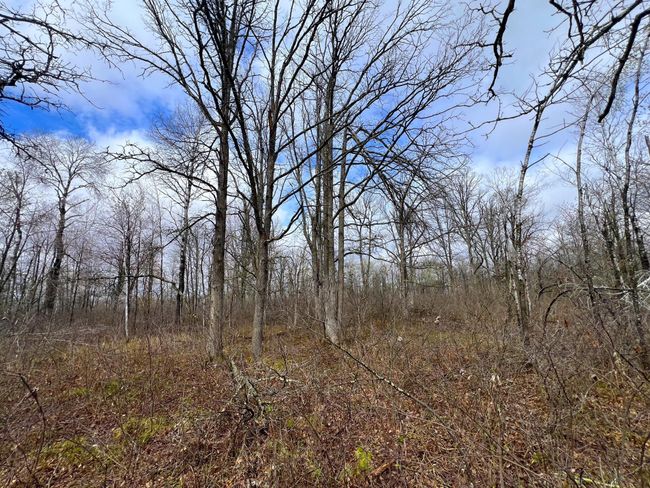 62126 Tamarack River Rd, Home with 0 bedrooms, 0 bathrooms and null parking in SANDSTONE MN | Image 28