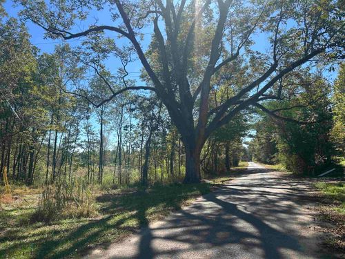 0 County Road 8, Double Springs, AL, 35553 | Card Image