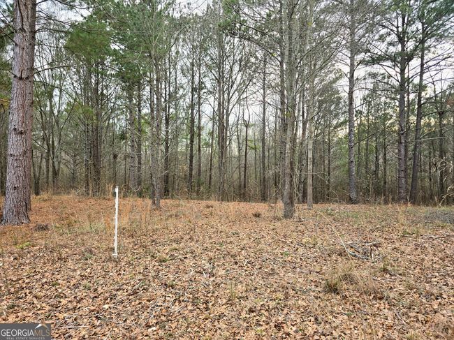 0 Willow St, Home with 0 bedrooms, 0 bathrooms and null parking in Stephens GA | Image 13