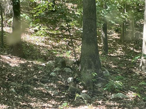 141 Duncan Ln, Poughkeepsie, AR, 72569-9104 | Card Image