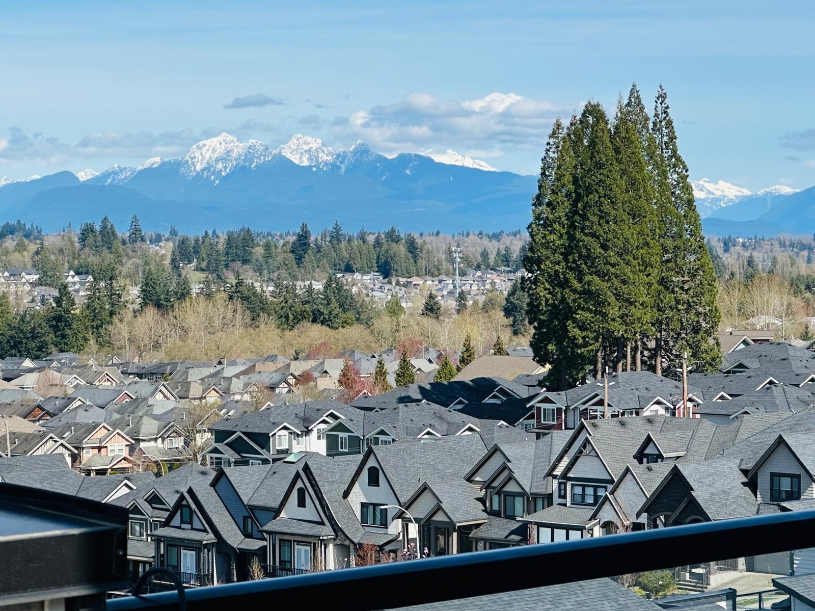 Residential in Surrey 3