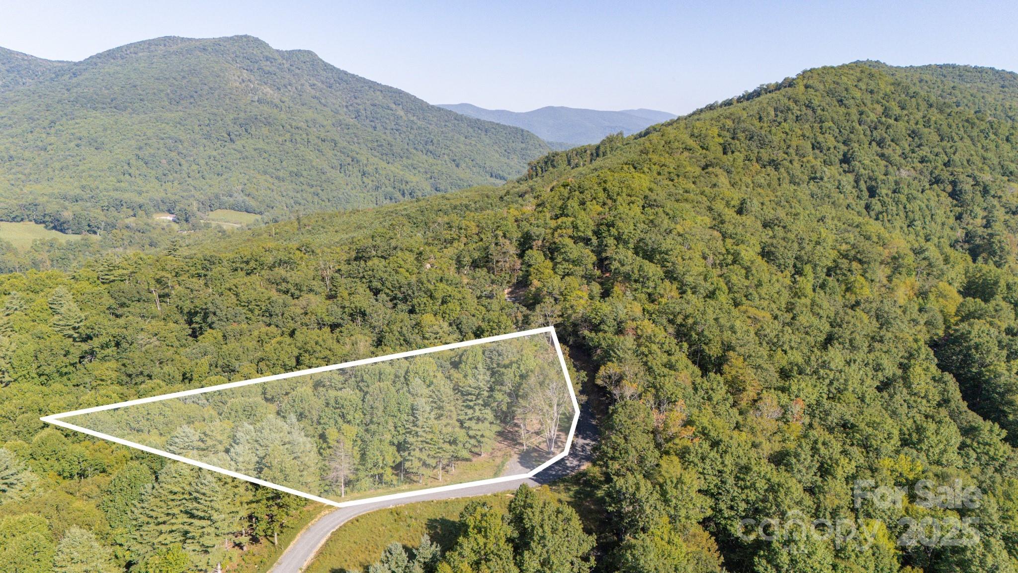 Land in Spruce Pine 4