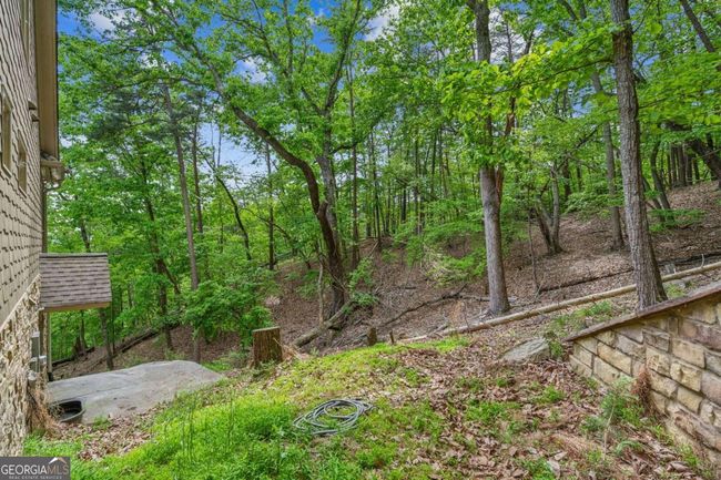 194 Morse Elm Loop, House other with 3 bedrooms, 4 bathrooms and null parking in Waleska GA | Image 23