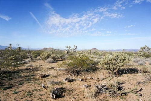 243-09-007 Flat Top Drive, Yucca, AZ, 86438 | Card Image