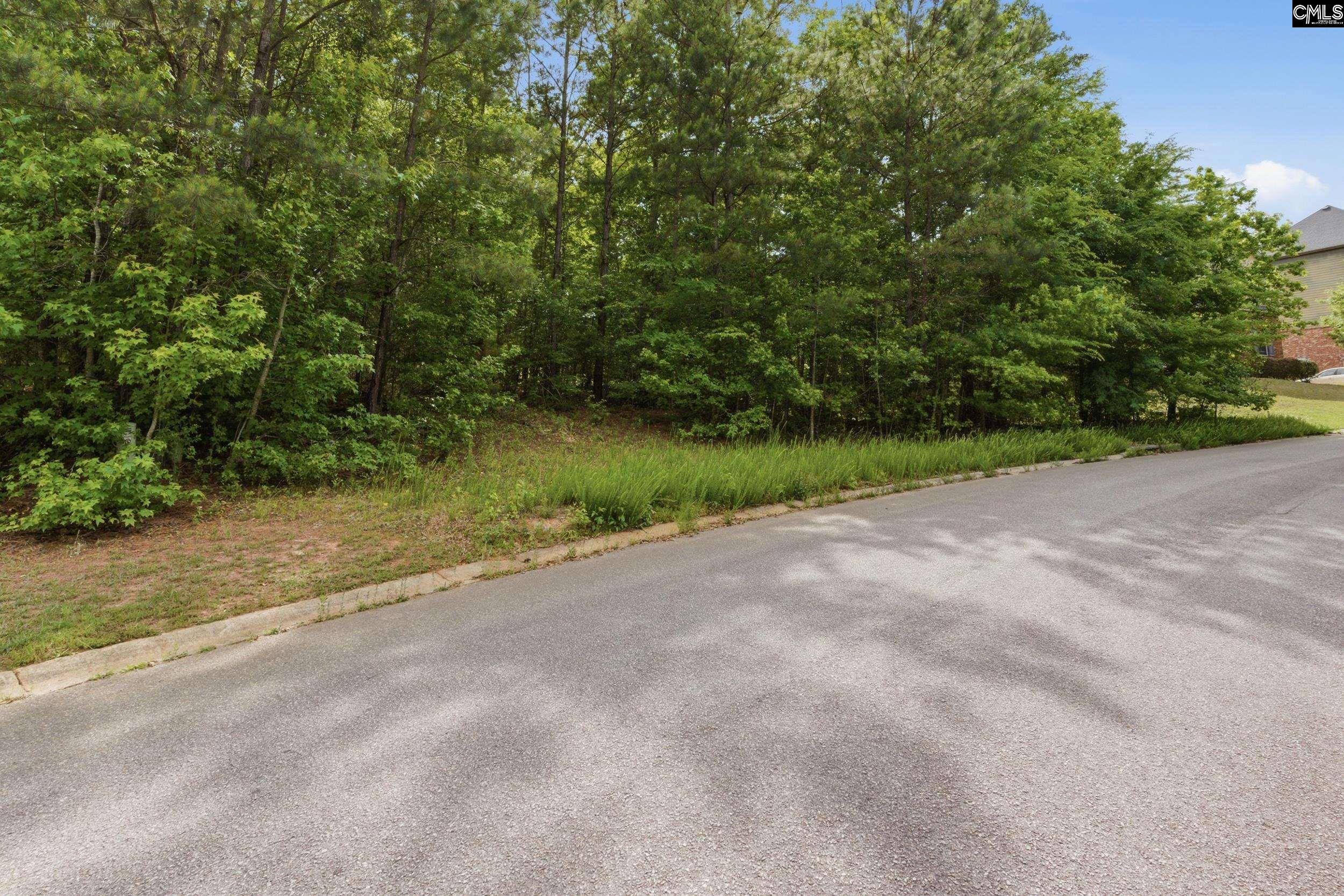 Land in Blythewood 3