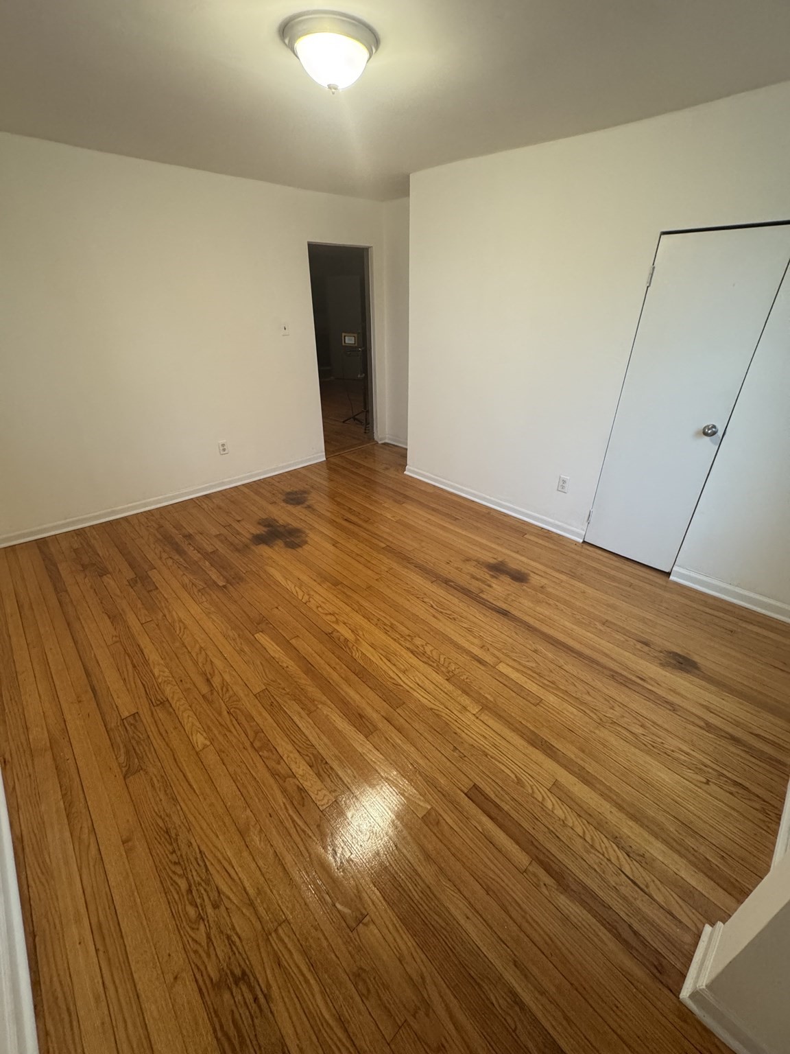 Residential Lease in Westfield 4