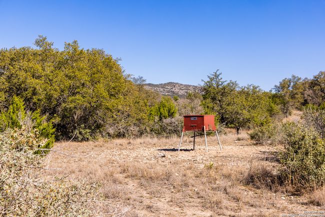 2350 Little Dry Frio Rd, Home with 0 bedrooms, 0 bathrooms and null parking in Rio Frio TX | Image 9
