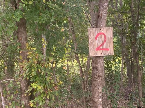 lot 2 Cr 3526, Cuney, TX, 75759 | Card Image