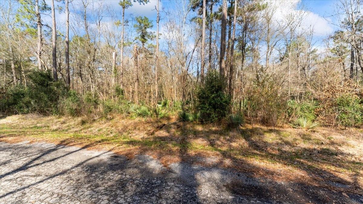 Land in Conroe 2