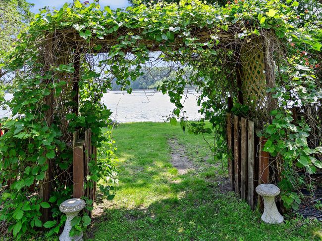 A whimsical archway leads to the shoreline! | Image 14