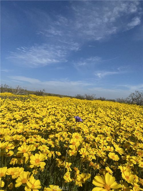 0 Vacant Land, Mojave, CA, 93501 | Card Image