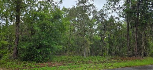 1308 N Prospect Ave, Lecanto, FL, 34461-9788 | Card Image