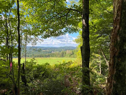 0 Danville Hill Rd, Cabot, VT, 05647 | Card Image