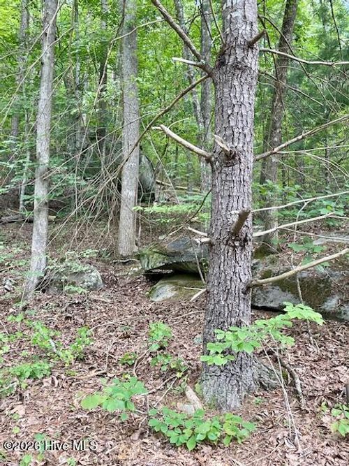 11 Lonesome Pine Rd, Murphy, NC, 28906-1760 | Card Image